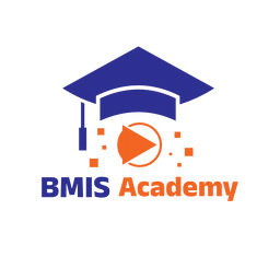 BMIS Academy